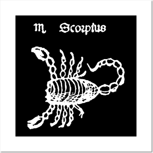 Scorpio Posters and Art